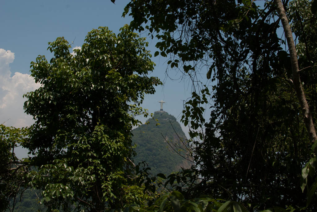 Christ, from afar
